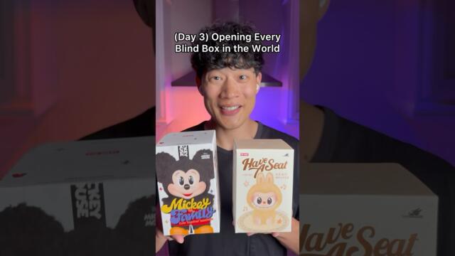 Opening Every Blind Box in the World (Day 3, Mickey Family)