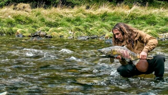 Canada : il part apprendre à pêcher avec les ours