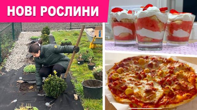 Смачні РЕЦЕПТИ, садові турботи, оформлення зони паркану та БУДІВНИЦТВО тераси