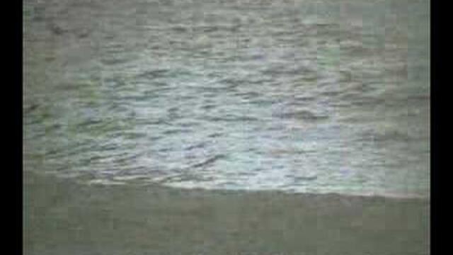 Kostas Mantzios - Eleni