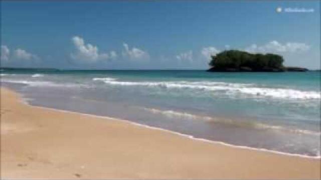 Живея за теб - Maria Zagorova & Ilia Zagorov