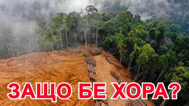 КОГАТО ГОРИТЕ БЪДАТ ИЗСЕЧЕНИ, ХОРАТА ЩЕ ЯДАТ ПАРИ!