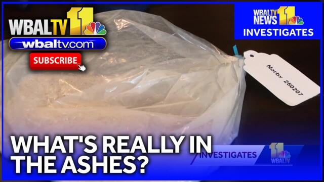 What was actually found in pet cremains