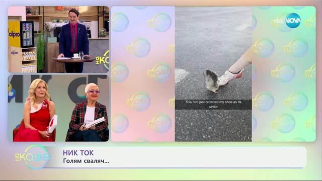 НИК ТОК: Най-любопитното от социалните мрежи - „На кафе“ (09.04.2025)