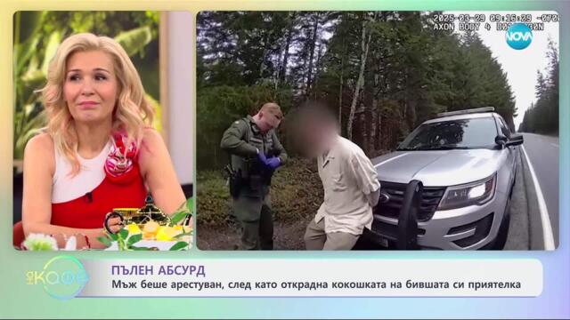 Мъж беше арестуван, след като открадна кокошката на бившата си приятелка - „На кафе“ (09.04.2025)