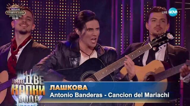 Лашкова като Antonio Banderas - Cancion Del Mariachi | Като две капки вода
