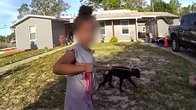 Child and Dog Dropped Off in Florida Neighborhood Alone: Cops