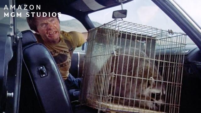 THUNDERBOLT AND LIGHTFOOT (1974) | Hitchhiking With A Raccoon | MGM