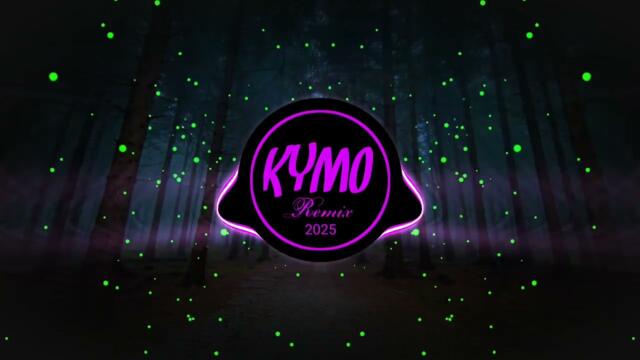 Happiest_year_of_my_life_(KYMO_REMIX)2025