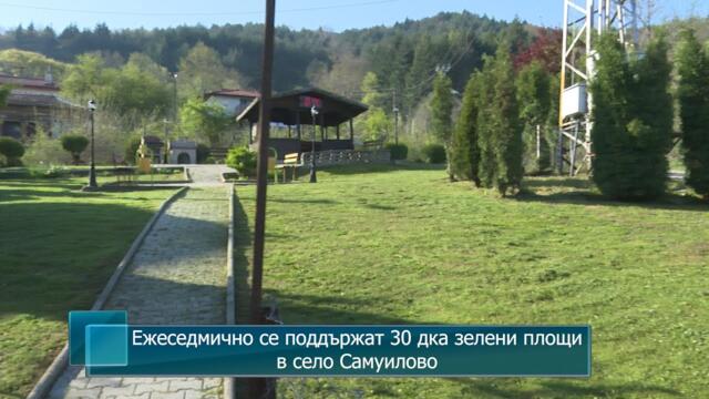 Ежеседмично се поддържат 30 дка зелени площи в село Самуилово