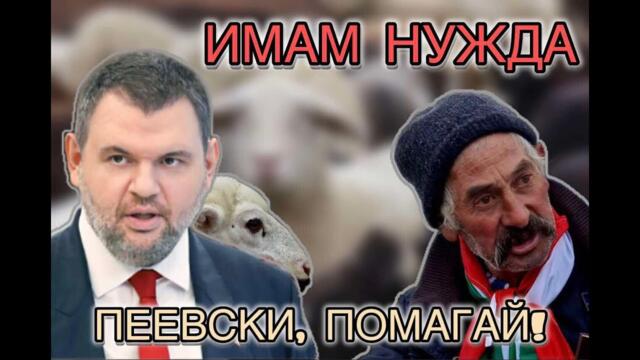 ДИМИТЪР ИЛИЕВ: ГОСПОДИН ПЕЕВСКИ, ПОМОГНЕТЕ!