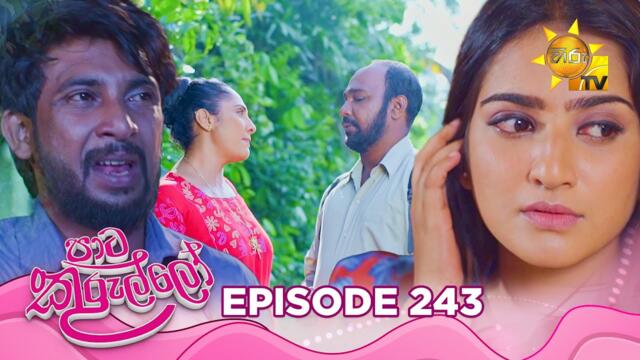 Paata Kurullo - පාට කුරුල්ලෝ | Episode 243 | 2025-04-14=5 | Hiru TV