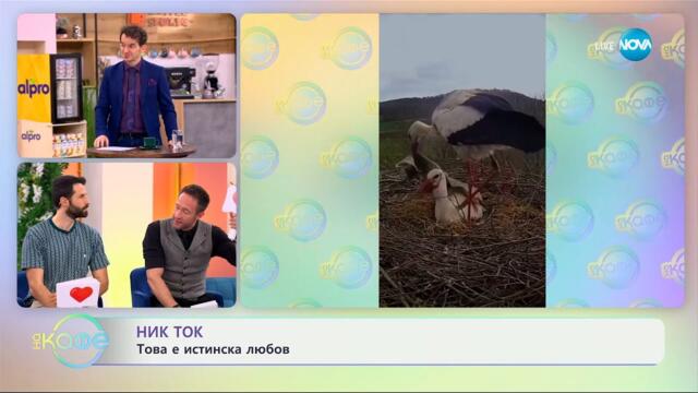 НИК ТОК: Най-любопитното от социалните мрежи - „На кафе“ (16.04.2025)