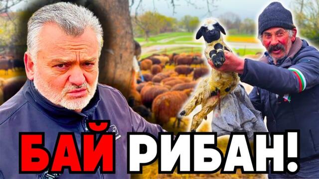 НА ЖИВО от Велинград и "чумавите" овце: Диагнозата е ГЛАД! 💢 - Пламен Пасков