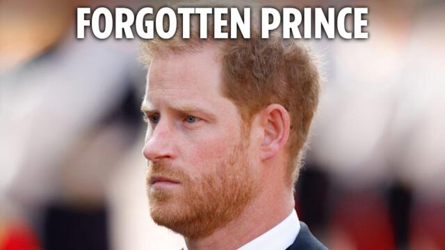 Harry leading pointless existence after charity row - people only care about Meg