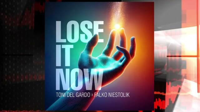Toni Del Gardo & Falko Niestolik - Lose It Now