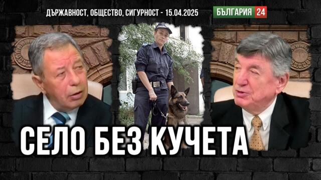 От 45 организирани престъпни групи в България оцеляха десетина и се срастнаха с властта Това е мафия