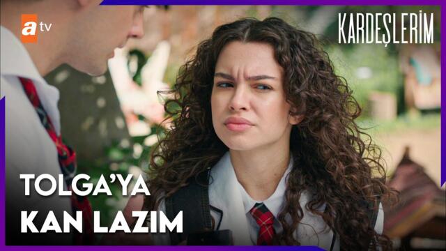 Leyla, Asiye ve Ömer'den yardım istedi - Kardeşlerim 60. Bölüm