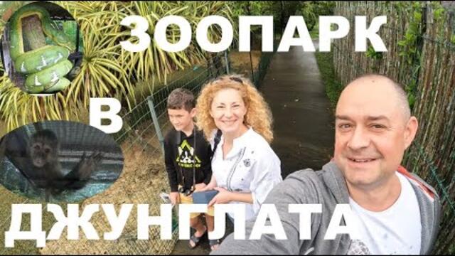 ЗООПАРК В ДЖУНГЛАТА ZOO IN THE JUNGLE GUIANA #amazon #nature #animals #zoo #zoology #travel