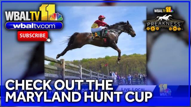 Maryland Hunt Cup keeps horse racing traditions alive