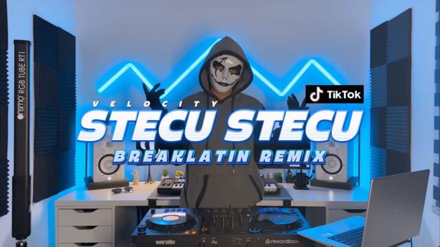 DISCO HUNTER - Stecu Stecu (Extended Mix)