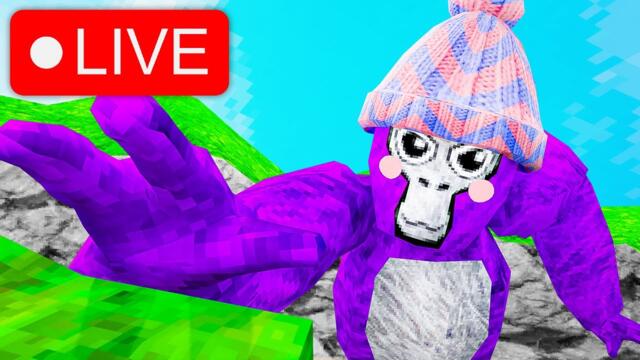 ONLY UP LIVE! 🔴 (SUB = CHICKEN JOCKEY🍔) #gorillatag