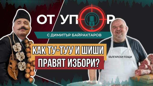 Как Ту-туу и ШиШи правят избори?