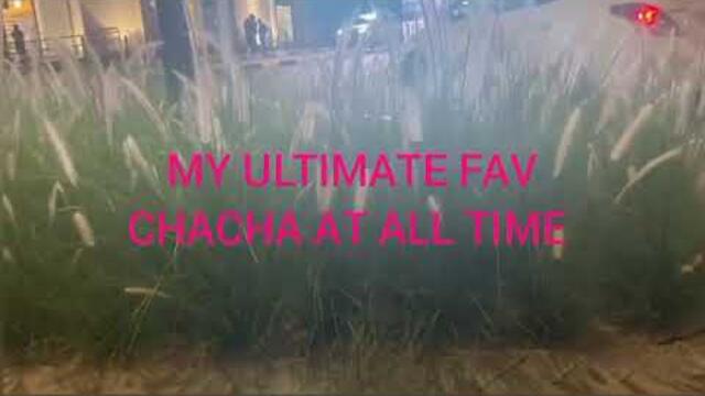 MY FAVORITE CHA CHA REMIX  @iamJonas-i1k