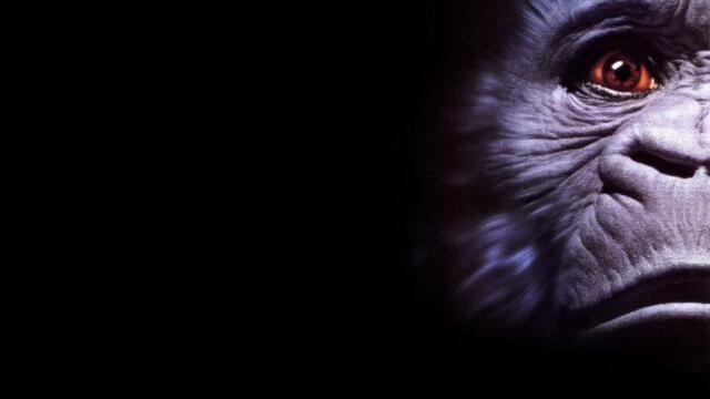 Конго (синхронен екип, дублаж на студио Медиа Линк, 27.04.2025 г.) (запис)