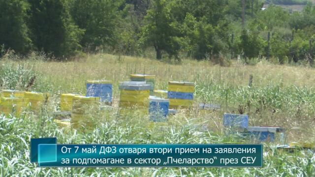 От 7 май ДФЗ отваря втори прием на заявления за подпомагане в сектор „Пчеларство“ през СЕУ
