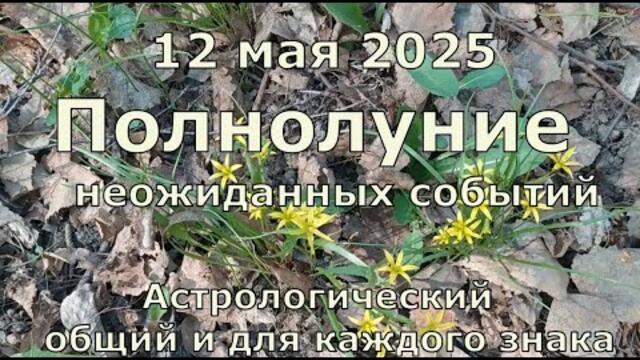 Полнолуние неожиданностей 12 мая 2025, что принесёт в общем и каждому знаку