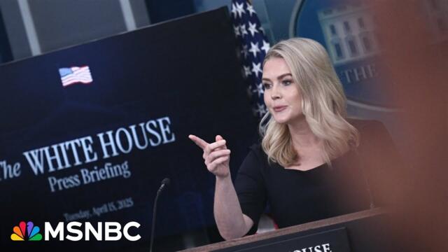 'Trust in President Trump': WH press secretary responds to questions of economic volatility