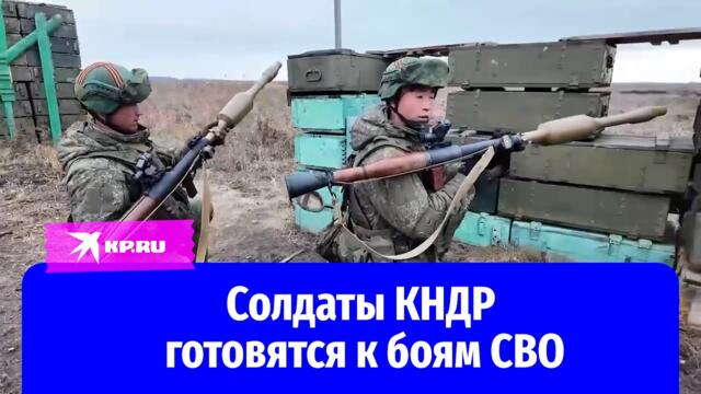 Подготовка к бою северокорейских солдат: кадры с полигона