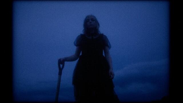 Flower Face - Pushing Daisies (Official Music Video)