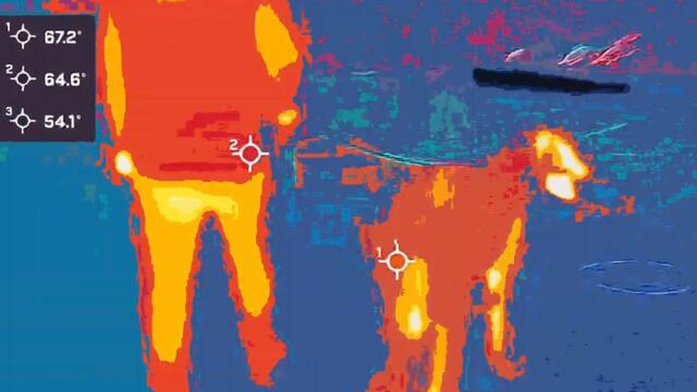 Aesop Rock - Send Help (Official Video)