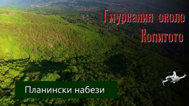 Гмуркания около #Копитото - планински набези от #Mechwings