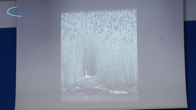 Експерт по защитени територии в МОСВ: Не можем да се справим с умишлените палежи