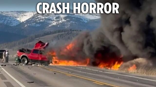 Seven killed after tourist bus crashes and bursts into flames at national park