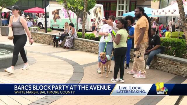 BARCS hosts first block party at The Avenue