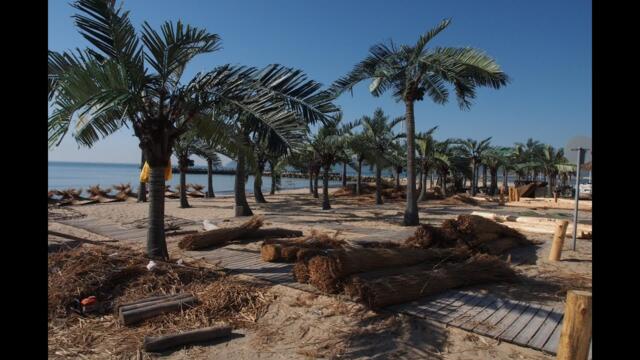 Предвестници на лятото: Майстори възстановяват чадърите от тръстика по варненските плажове