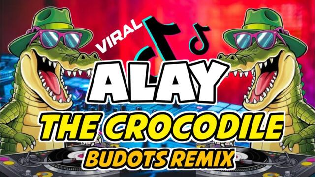 LALAY - The Crocodile | Buaya | ( BUDOTS REMIX ) | DJ MONSOY