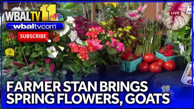 Farmer Stan from Spring Meadow Farms has the flowers (and goats) to celebrate Spring