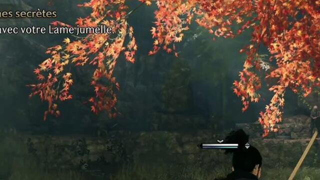Rise of The ronin extrait let's play 1