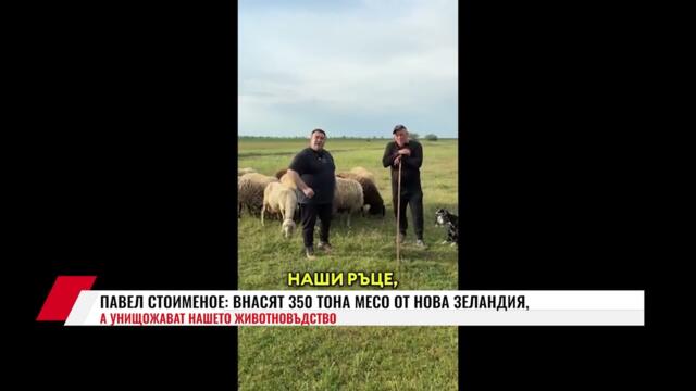 ПАВЕЛ СТОИМЕНОВ: ВНАСЯТ 350 ТОНА МЕСО ОТ НОВА ЗЕЛАНДИЯ, А УНИЩОЖАВАТ НАШЕТО ЖИВОТНОВЪДСТВО