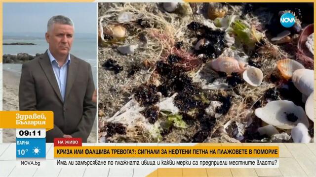 Има ли замърсяване по плажната ивица в Поморие и какви мерки са предприели властите?