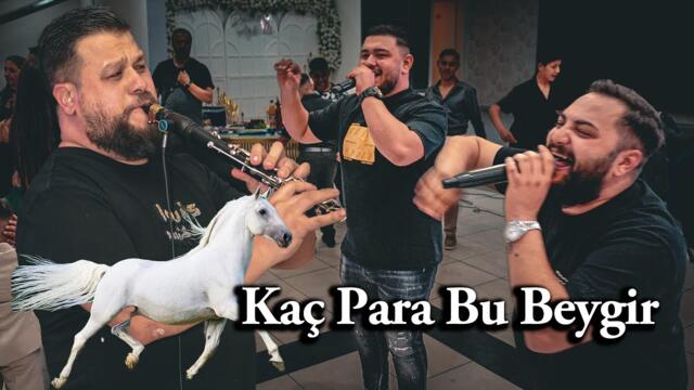 Ork.Kyamil Grup - Kaç Para Bu Beygir 2025 SHOW #romanhavası #hit #oyunhavası