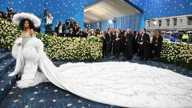 Legendary Diana Ross Brings Met Gala 'Blue' Carpet to Standstill