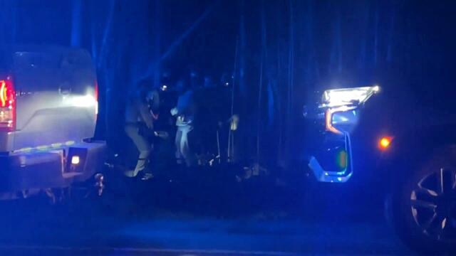 Man and Dog Dead in 1st Possible Fatal Bear Attack in Florida's Recorded History