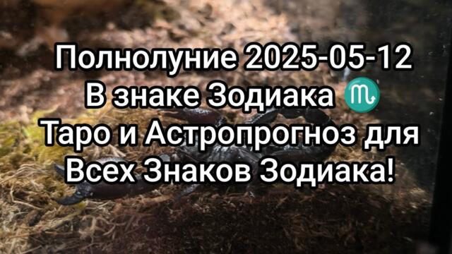 Полнолуние 2025-05-12 ♏ Таро и Астропрогноз для Всех Знаков Зодиака! Full moon 🌕 #tarot #astrology
