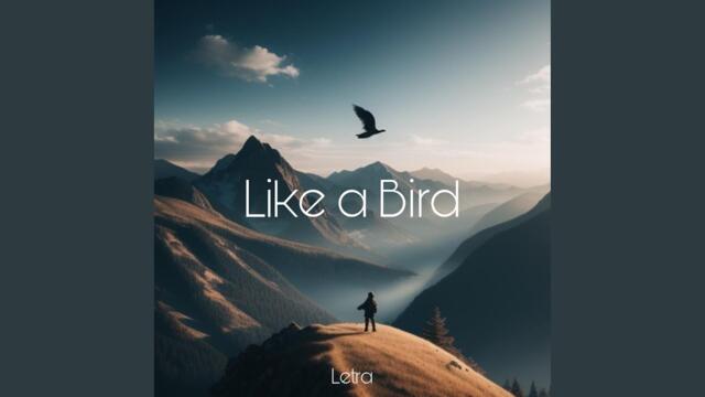 Like a Bird